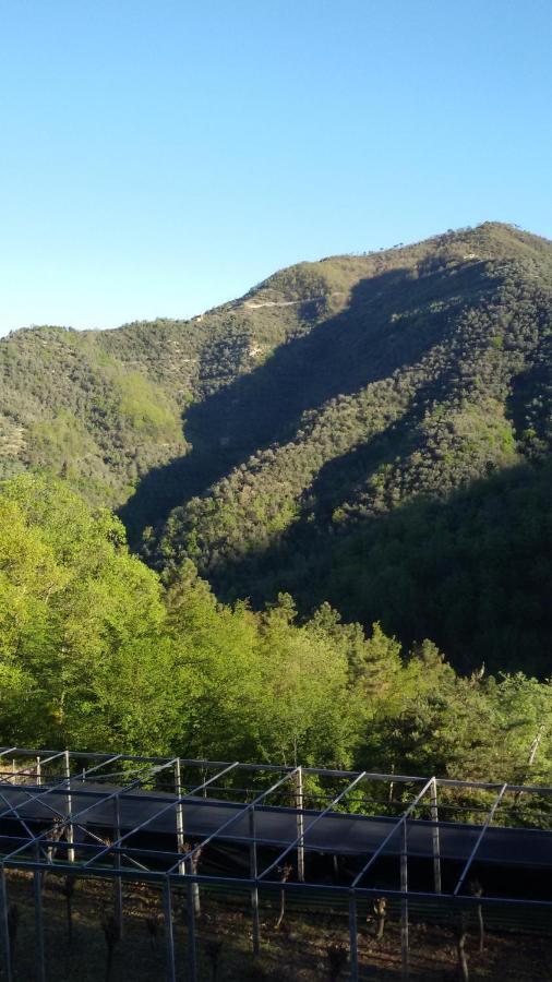 Nostro Rifugio Villa Apricale Bagian luar foto