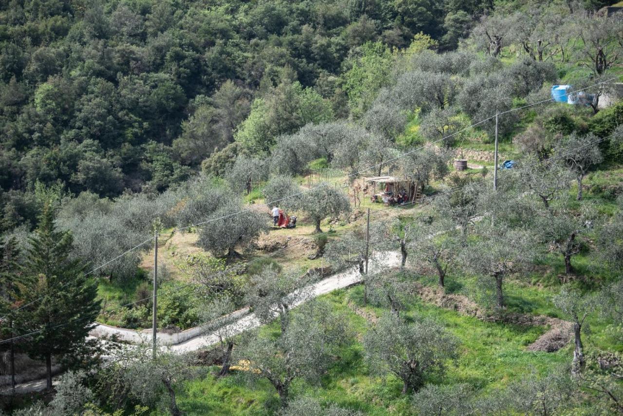 Nostro Rifugio Villa Apricale Bagian luar foto
