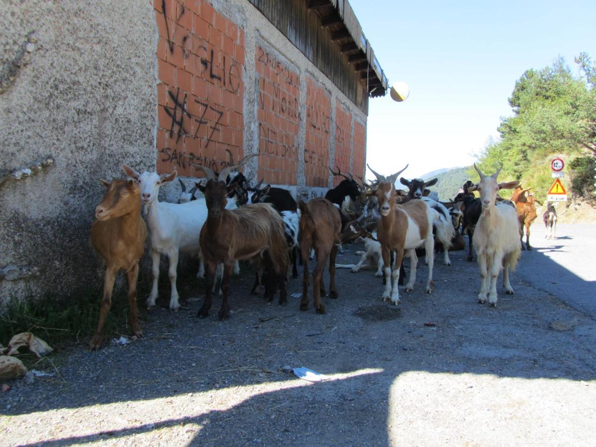 Nostro Rifugio Villa Apricale Bagian luar foto