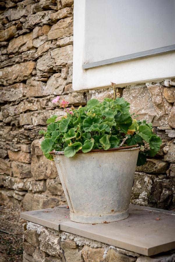Nostro Rifugio Villa Apricale Bagian luar foto