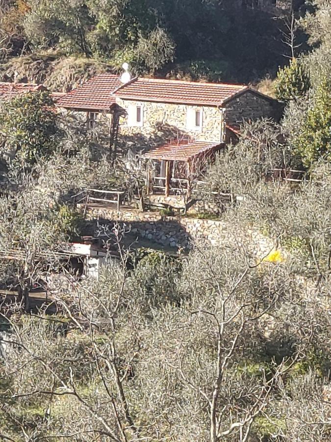 Nostro Rifugio Villa Apricale Bagian luar foto