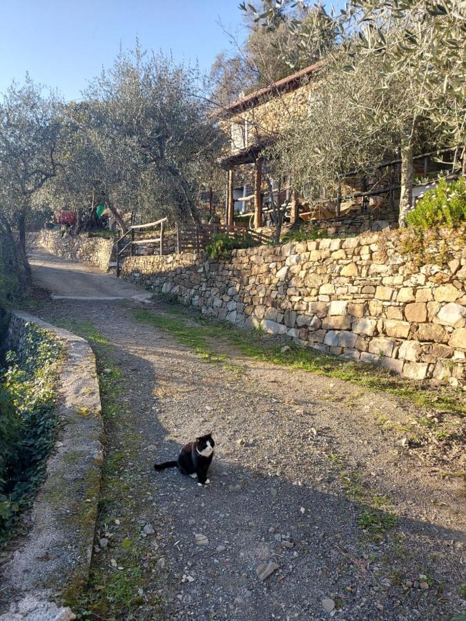 Nostro Rifugio Villa Apricale Bagian luar foto