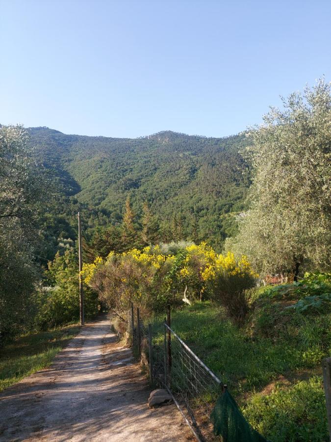 Nostro Rifugio Villa Apricale Bagian luar foto